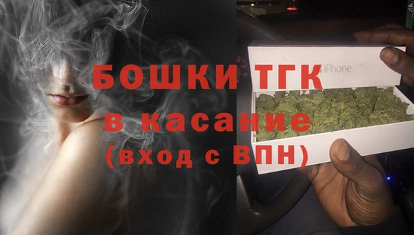 дурь Заводоуковск