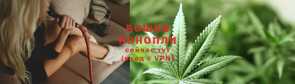 дурь Заводоуковск