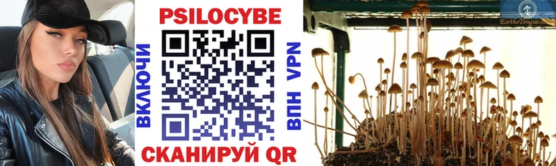 Купить где  Зарайск  Псилоцибиновые грибы Magic Shrooms 